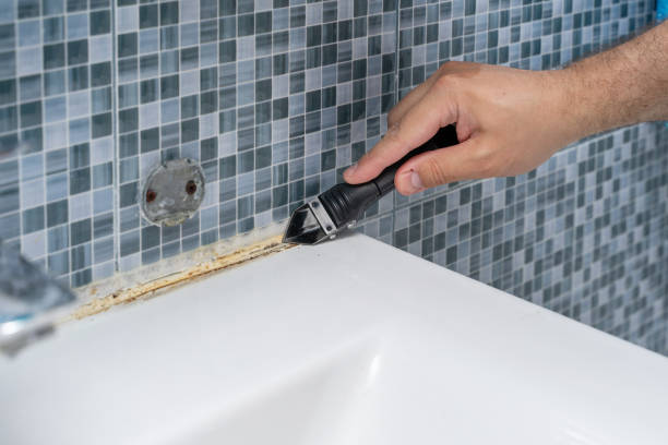 Best Certified Mold Removal  in Nashotah, WI