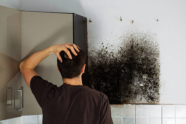 Water Damage Restoration in Nashotah, WI